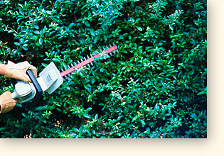 hedgetrimmer