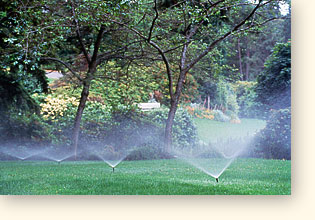 sprinklers